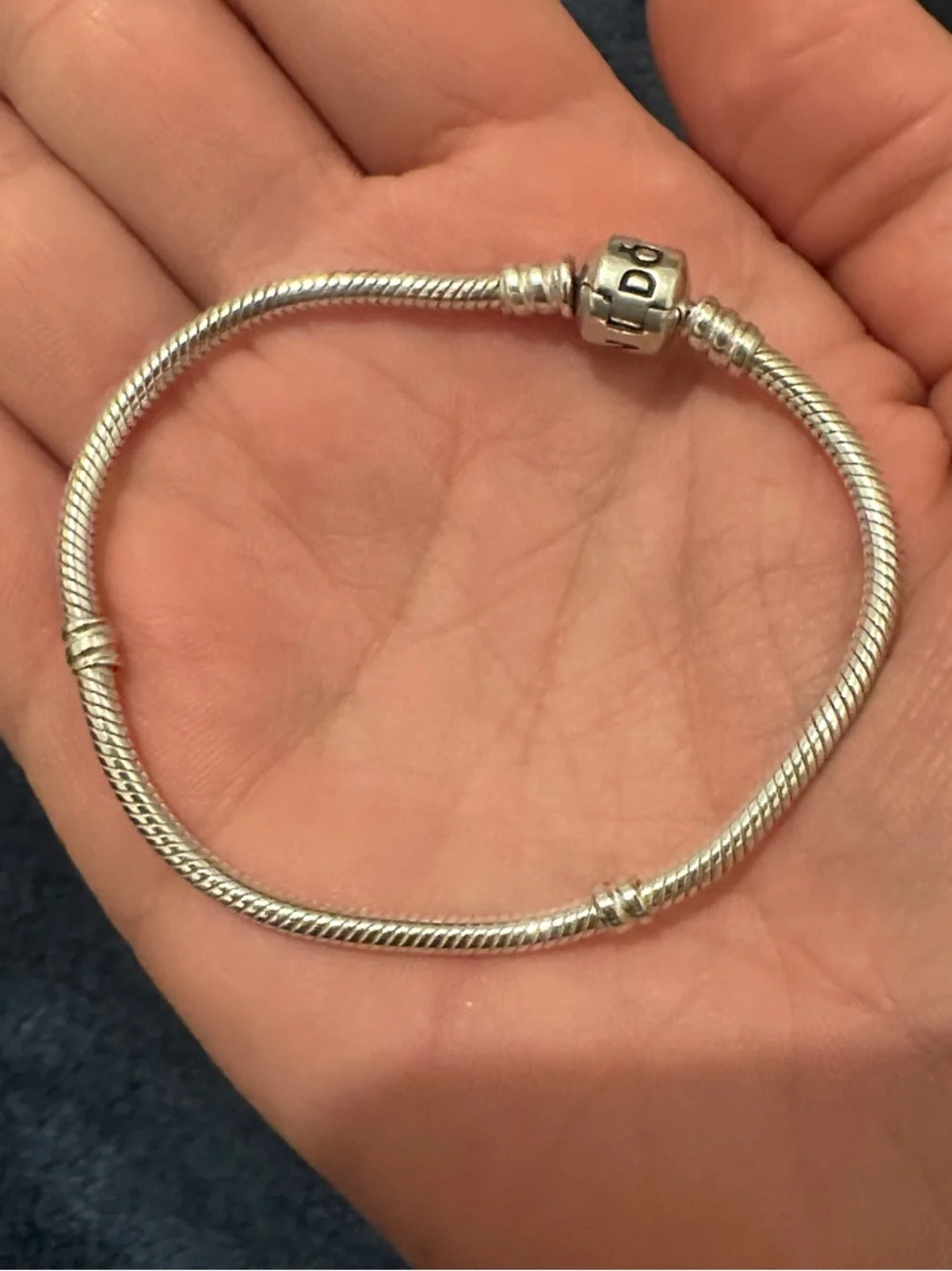 Pandora Bundle